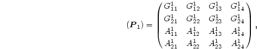 \begin{displaymath}
(\mbox{\boldmath$P$}_1)=\pmatrix{G^1_{11}&G^1_{12}&G^1_{13}...
...A^1_{13}&A^1_{14}\cr
A^1_{21}&A^1_{22}&A^1_{23}&A^1_{24}\cr},
\end{displaymath}