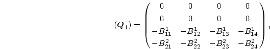 \begin{displaymath}
(\mbox{\boldmath$Q$}_1)=\pmatrix{0& 0& 0& 0\cr
0& 0& 0& 0\...
...13}&-B^1_{14}\cr
-B^2_{21}&-B^2_{22}&-B^2_{23}&-B^2_{24}\cr},
\end{displaymath}